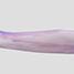 Color: Watercolor Drift Purple - Q25
Compresson: 15-20, 20-30, 30-40 mmHg.  Comes in Sizes: 1-6 Reg & Max